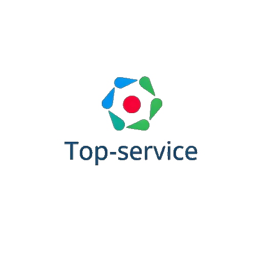 Top-service logo